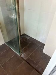 Sunbird Park (D16), Terrace #565670131